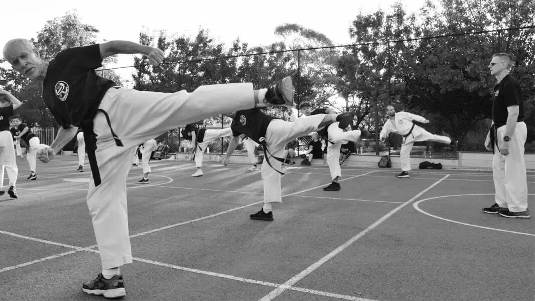 Wynn Vale Taekwondo group formation