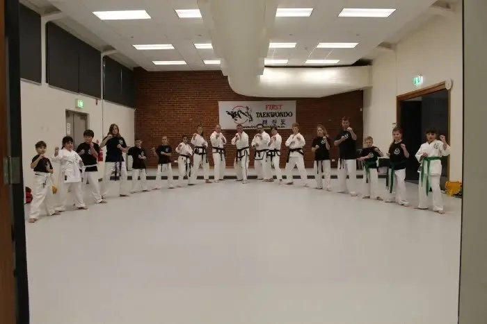 First Taekwondo students training