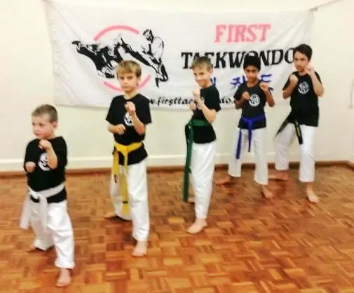 Mitcham Taekwondo kids class training