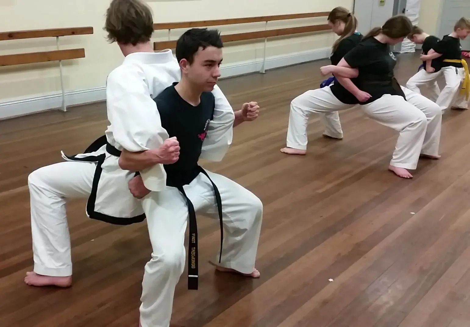 Tea Tree Gully Taekwondo group training