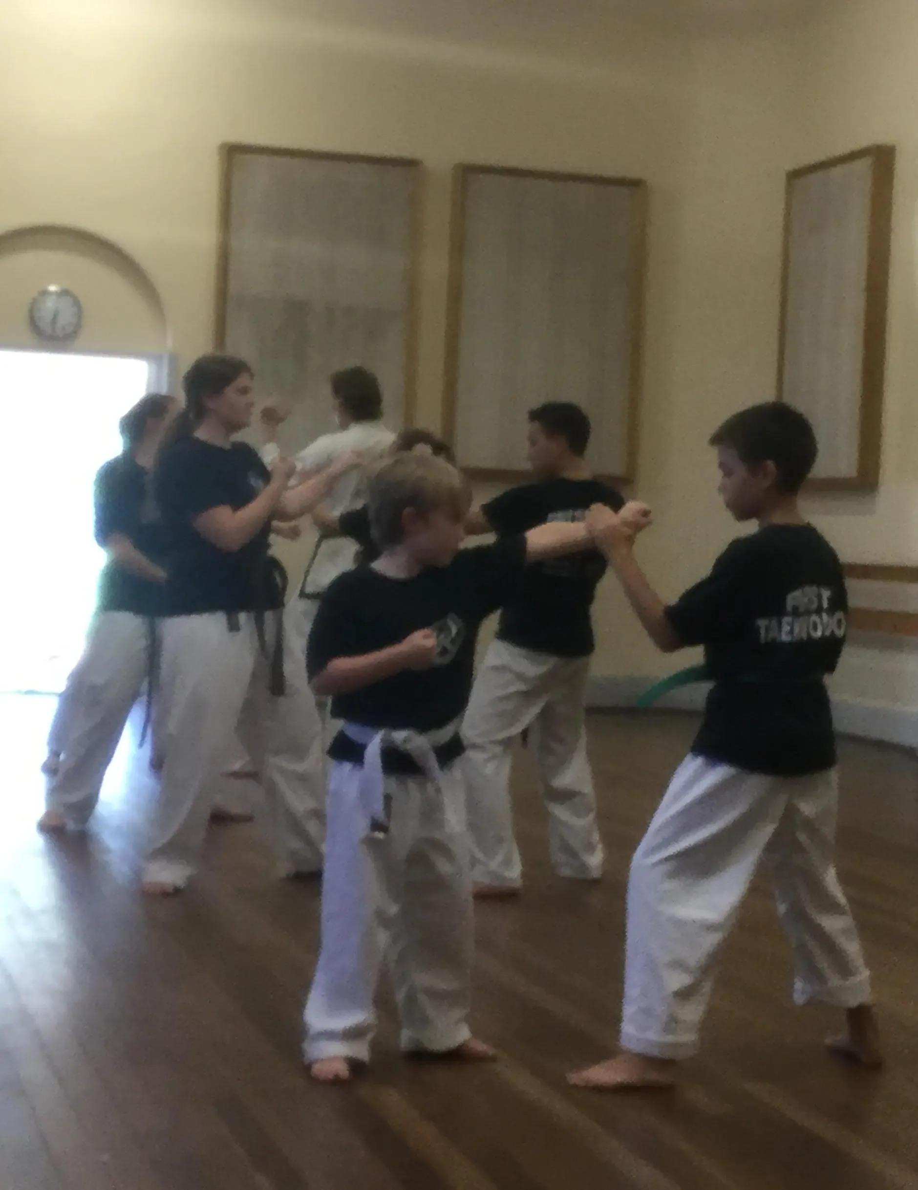 Tea Tree Gully Taekwondo techniques