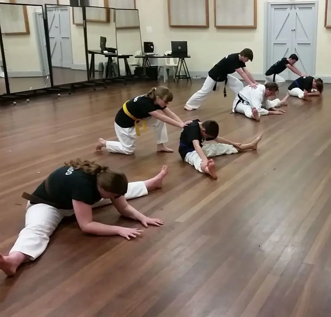 Tea Tree Gully Taekwondo students practicing