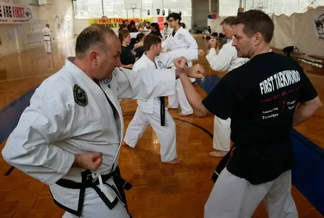 South Plympton Taekwondo class demonstration