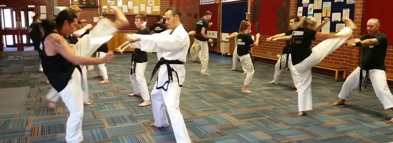 Ingle Farm Taekwondo training banner
