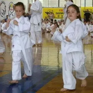 Children practicing Taekwondo stances