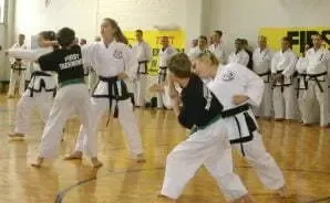 Kids Taekwondo belt training session